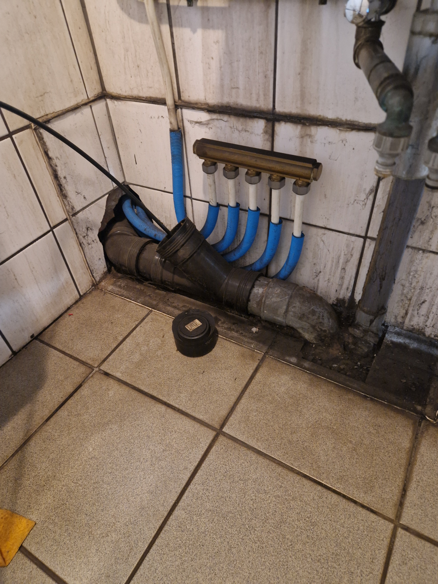Dweil in afvoer toilet